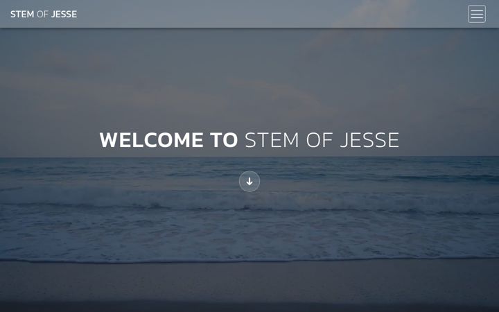 Screenshot of stemofjesse.org