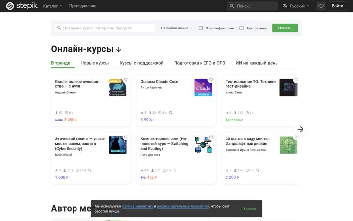 Ekrano kopija stepik.org