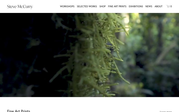 Screenshot of stevemccurry.com