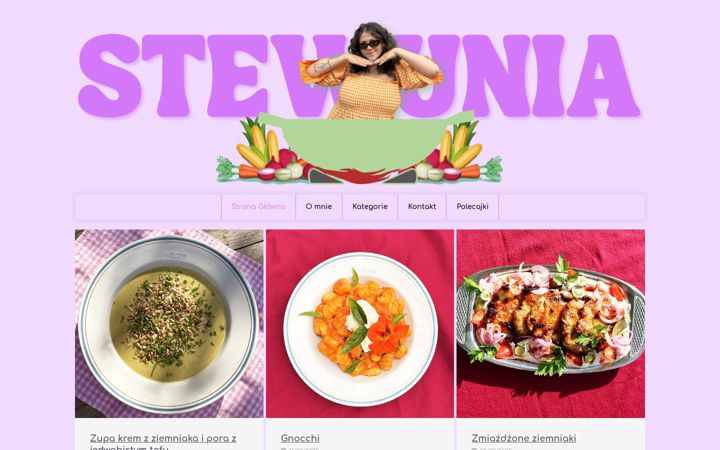 Zrzut ekranu stewunia.pl