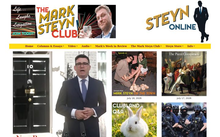 Screenshot of steynonline.com