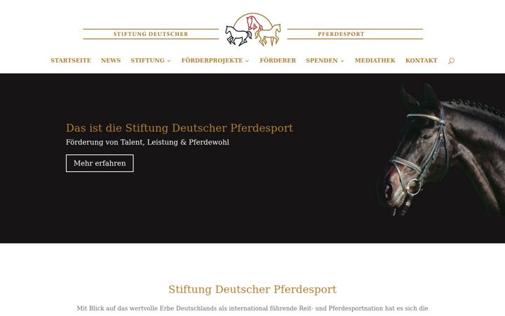 Snímek obrazovky stiftung-pferdesport.de