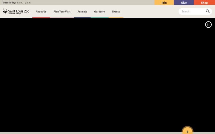 Screenshot of stlzoo.org