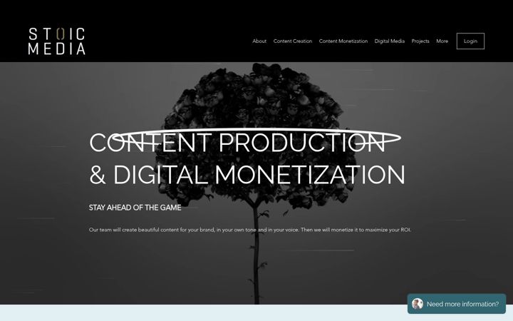 Screenshot of stoic-media.com
