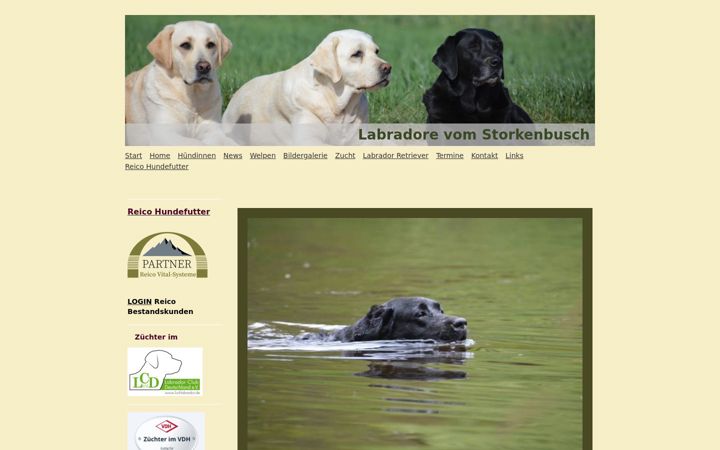 Ekraanipilt saidist storkenbusch.de