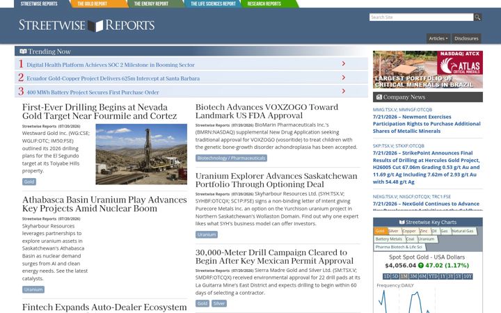 Screenshot of streetwisereports.com