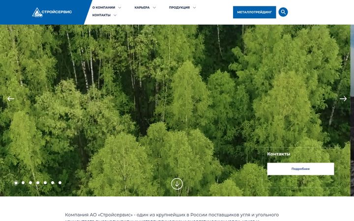 Screenshot of stroyservis.com