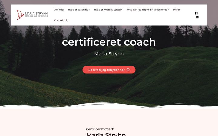 Screenshot of stryhn-coaching.dk