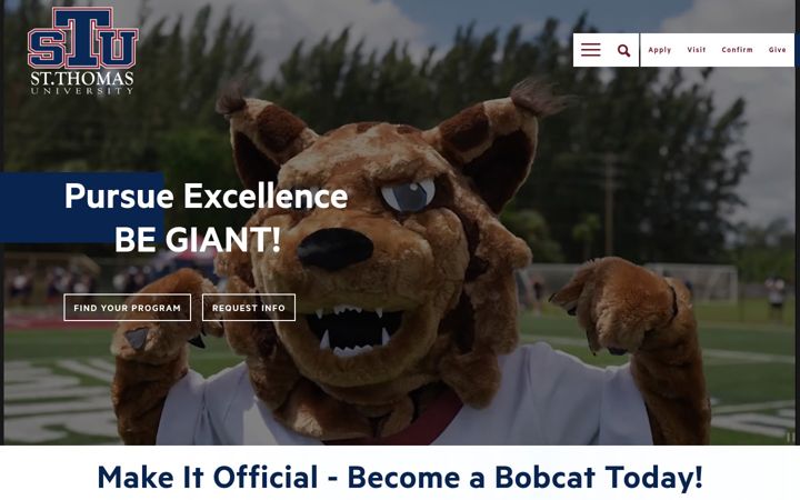 Screenshot of stu.edu
