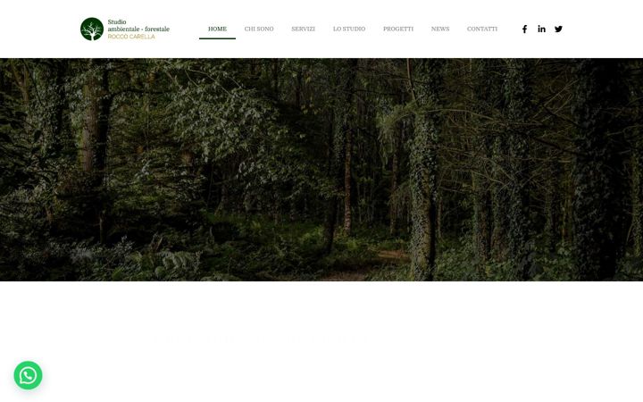 Screenshot stránky studioambientale-forestaleroccocarella.it
