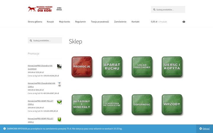 Skærmbillede af suplementykonie.pl