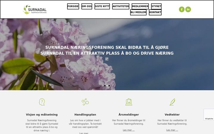 Skjámynd af surnadalnf.no