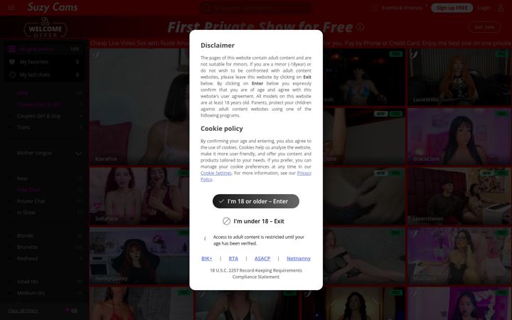 Screenshot of suzycams.com