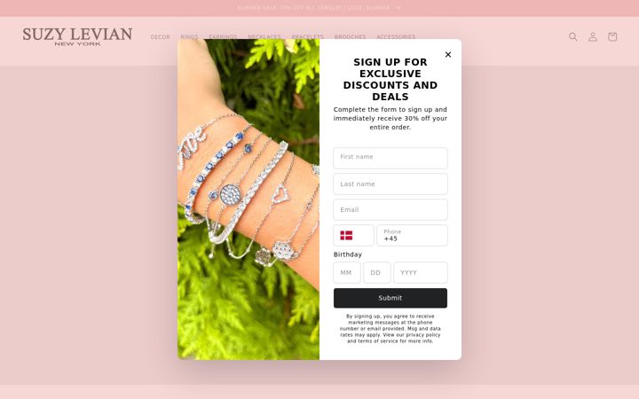 Screenshot of suzylevian.com