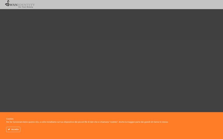 swanidentity.com