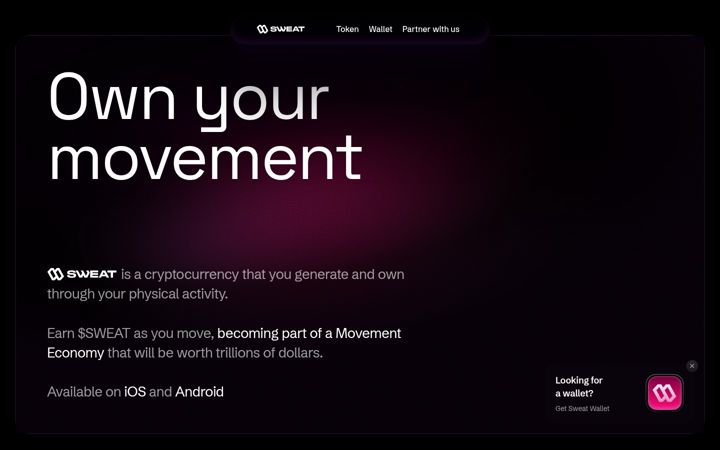 Screenshot of swe.at