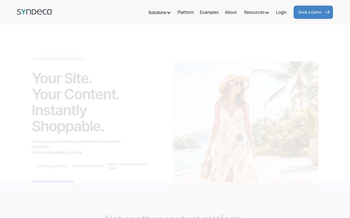 Screenshot of syndeca.com