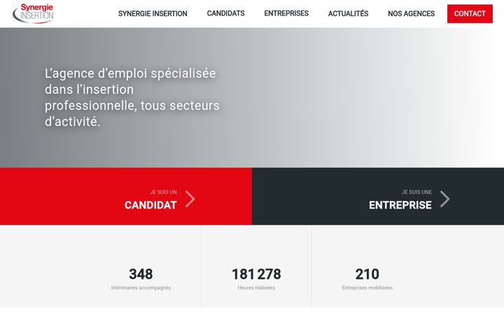 Screenshot of synergie-insertion.fr
