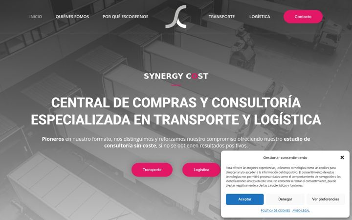 Screenshot of synergycost.com