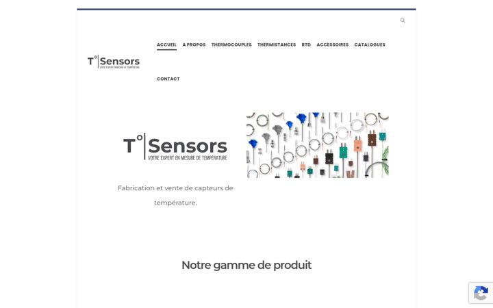 Zrzut ekranu t-sensors.com