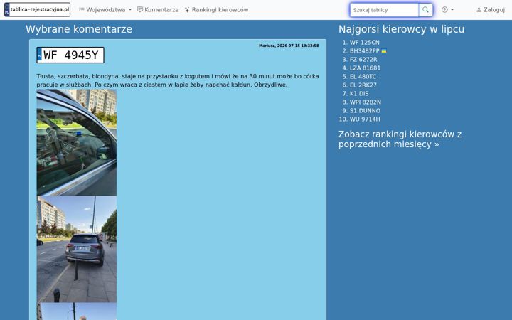Screenshot of tablica-rejestracyjna.pl