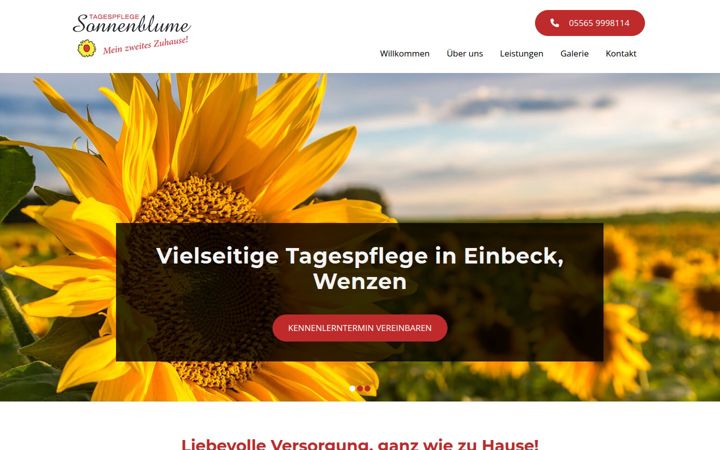 tagespflege-wenzen.de