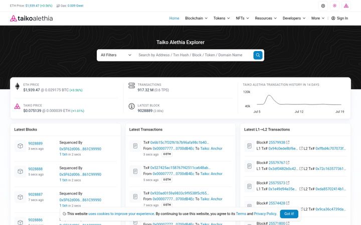 Screenshot of taikoscan.io