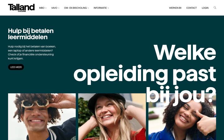 Screenshot of talland.nl