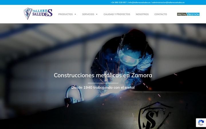 Posnetek zaslona talleressaludes.es