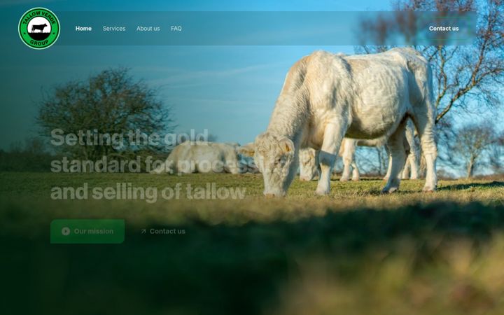 tallowverdegroup.com