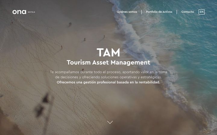 Screenshot of tam-project.com
