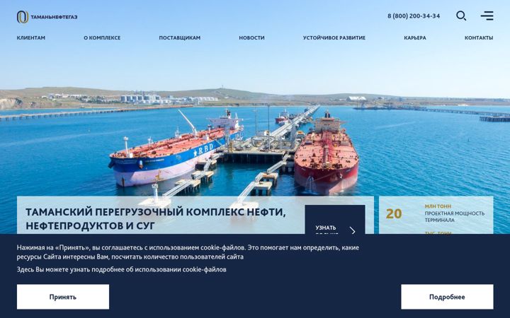 Screenshot of tamanneftegas.ru