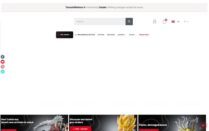 Screenshot of tamashiinations.fr
