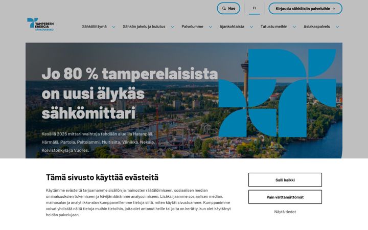 Skærmbillede af tampereensahkoverkko.fi