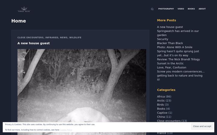 Screenshot of tarajiblue.com