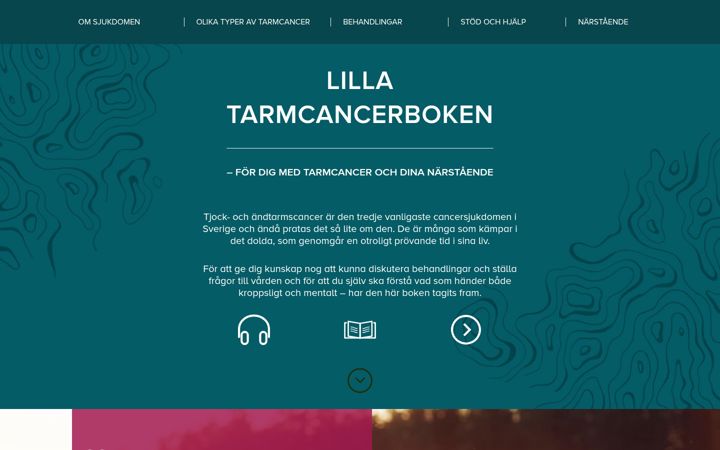 Screenshot of tarmcancerboken.se