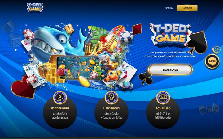 Snímek obrazovky tdedgame.fun