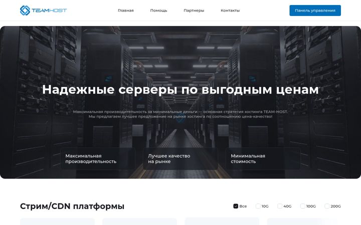 Ekrano kopija team-host.ru