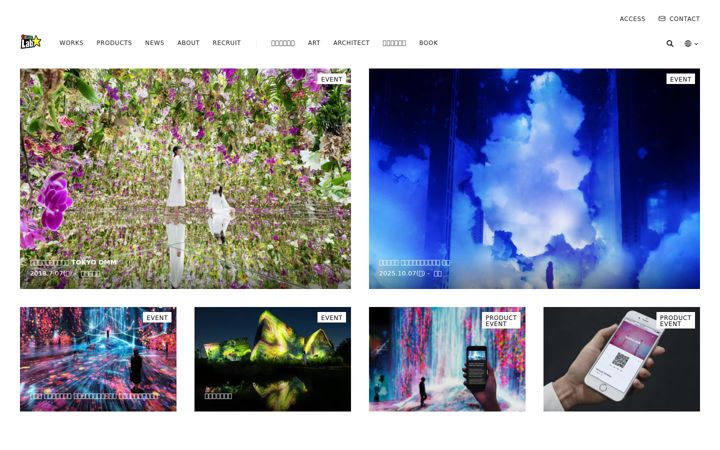 Screenshot of team-lab.com