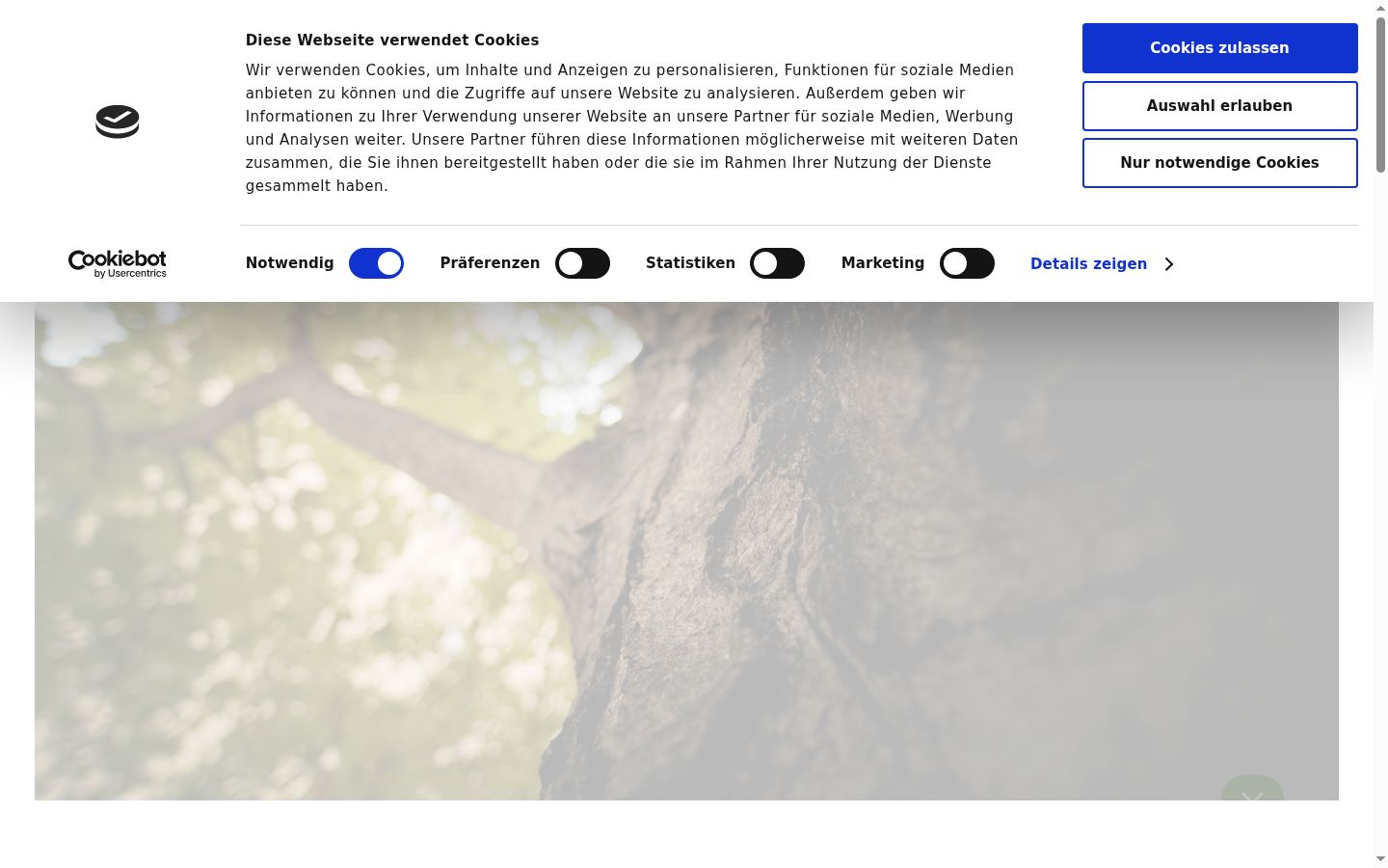 Screenshot of the consent banner shown before any interaction