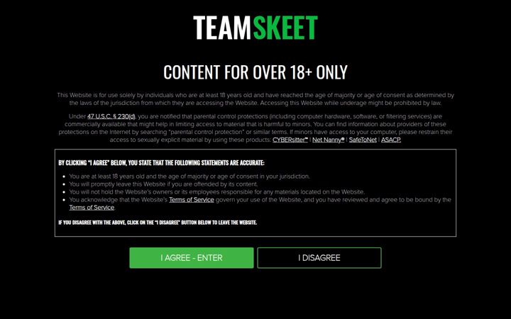 Snimka zaslona za teamskeet.com