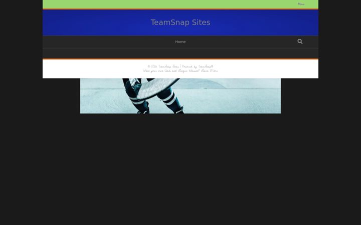 Screenshot of teamsnapsites.com