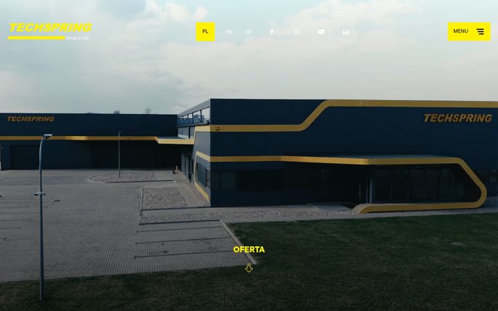 Screenshot von techspring.com.pl