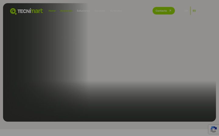 Skærmbillede af tecnimart.com