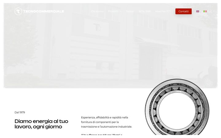 Screenshot of tecnocommerciale.net