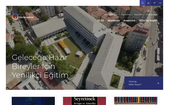 Screenshot of tedu.edu.tr