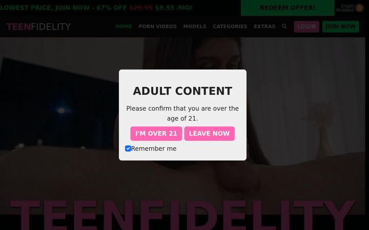 Screenshot of teenfidelity.com