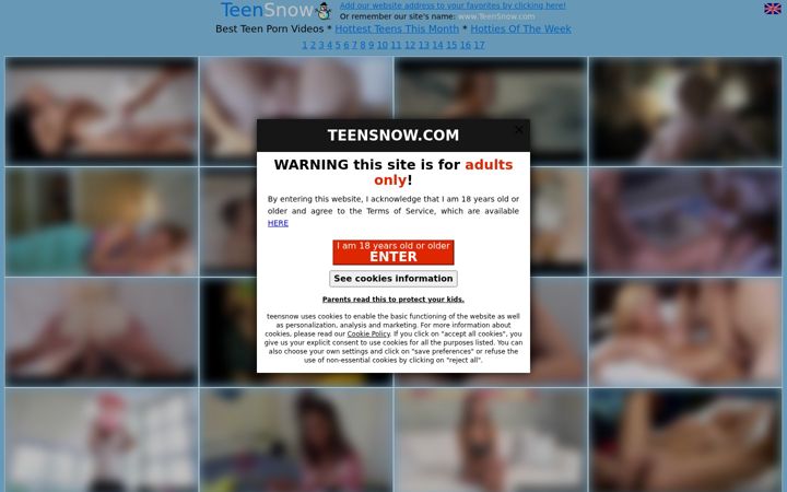 Screenshot of teensnow.com