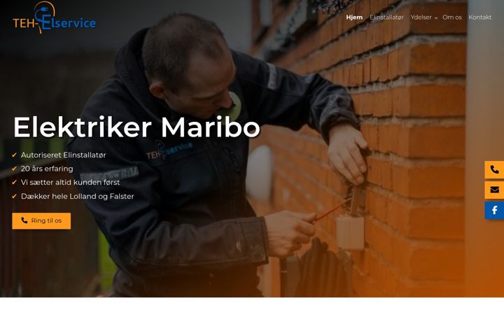 Screenshot of teh-el.dk
