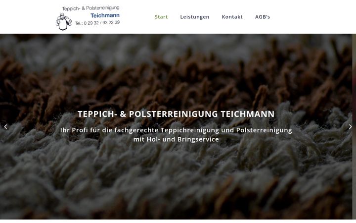 Screenshot von teichmann-teppichreinigung.de